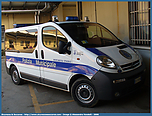 carpi_vivaro_6_2.jpg