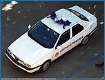 alfa155_gend_rsm_copia.jpg