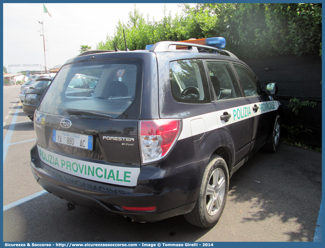 Polizia Locale YA880AC
Polizia Provinciale
Provincia di Verona
Subaru Forester V serie
Parole chiave: Polizia;Locale;Provinciale;Verona;Subaru;Forester;YA880AC;YA 880 AC