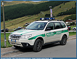 dap_foresterpllivigno_2.jpg