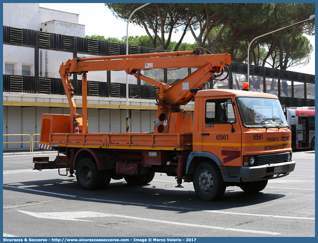 6561
ATAC S.p.A.
Pronto Intervento
Iveco 109-14
Allestitore Cella S.p.A.
Parole chiave: ATAC;Soccorso;Tram;Bus;Autobus;Controllo;Linea;Aerea;Iveco;109-14;Cella