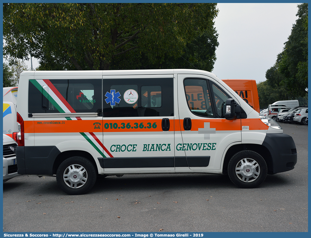 GE58
Croce Bianca Genovese
Fiat Ducato III serie
Parole chiave: Croce;Bianca;Genovese;Fiat;Ducato