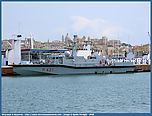 mm_p421_tedeschi_001.jpg
